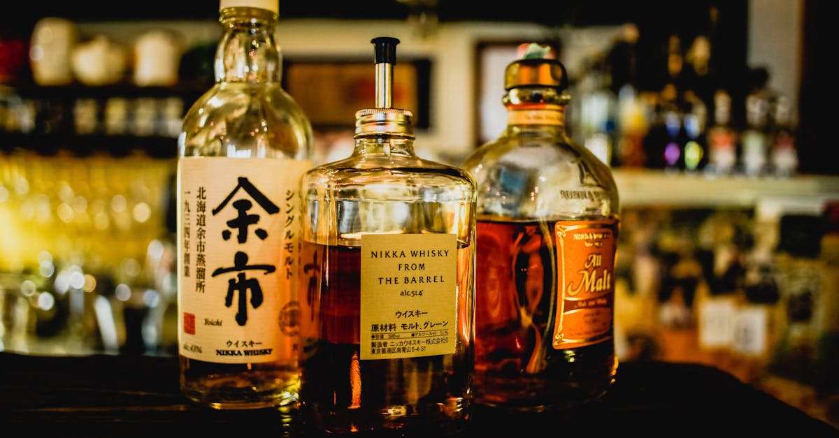 龍舌蘭迷必知:藍龍舌蘭與白龍舌蘭的關鍵差異